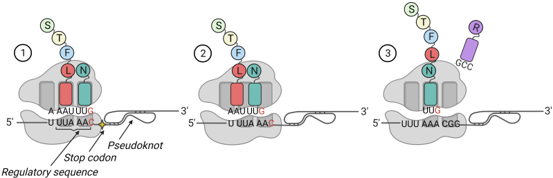 Fig. 4.