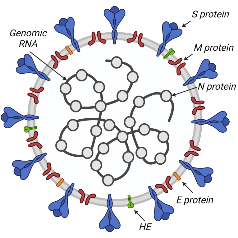 Fig. 1.