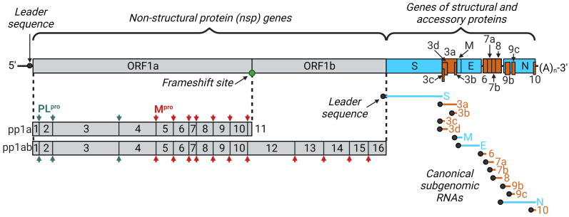 Fig. 2.