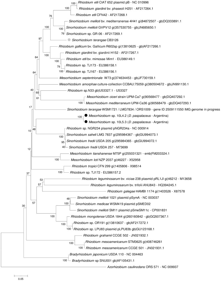 Figure 5