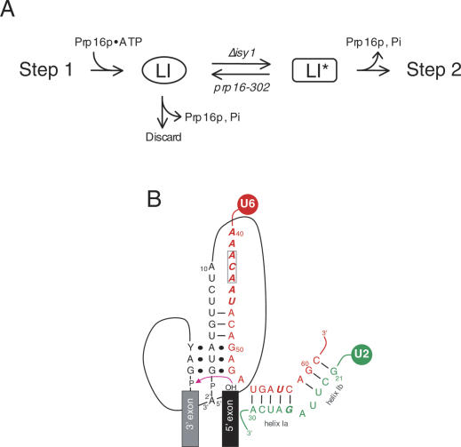 Figure 6.