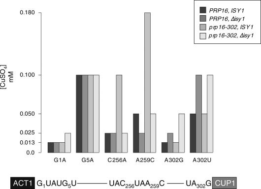 Figure 4.