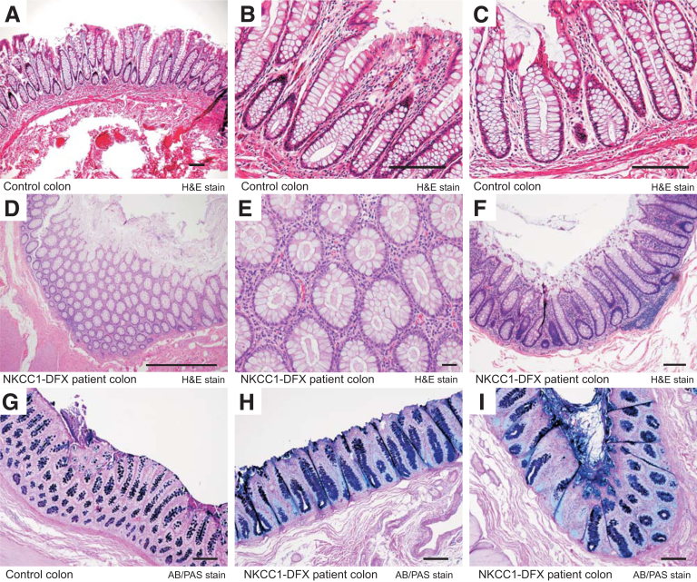 Figure 5