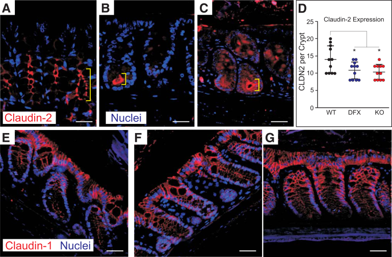 Figure 10