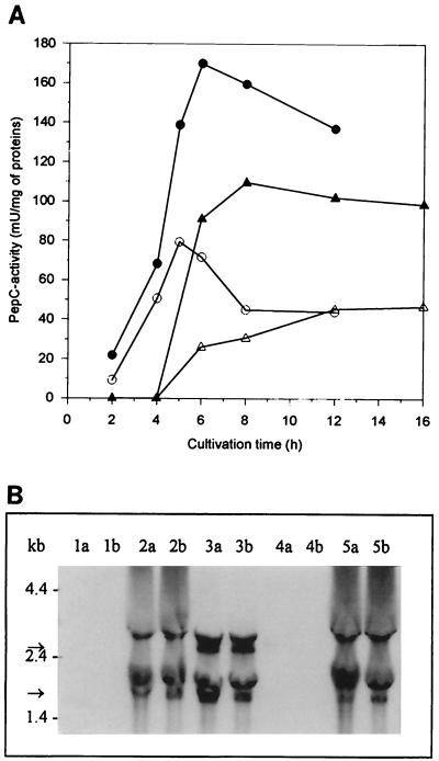 FIG. 5