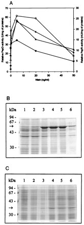 FIG. 7