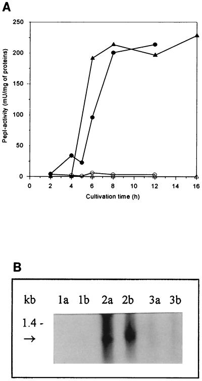 FIG. 6