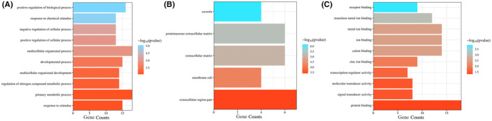 FIGURE 6