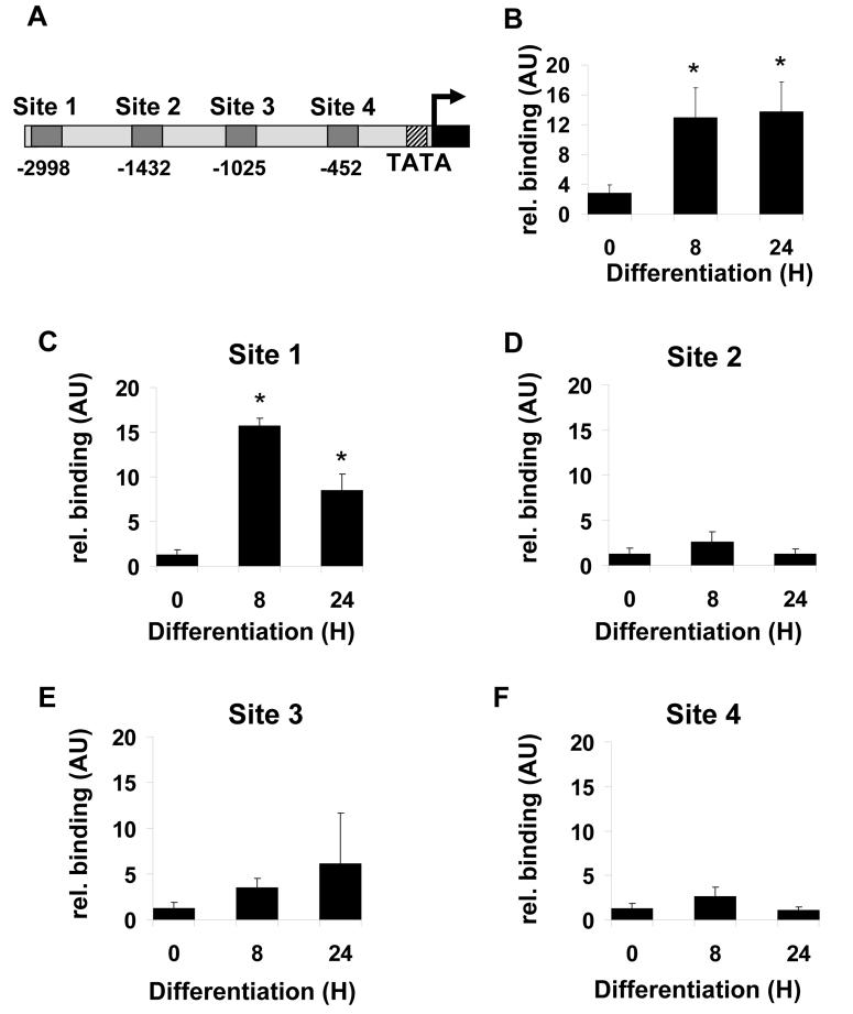 Figure 6