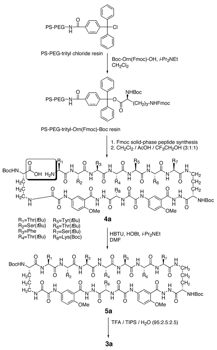 Scheme 1