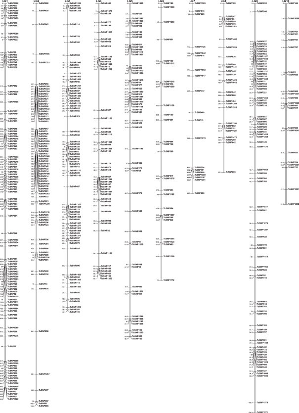 Figure 2.