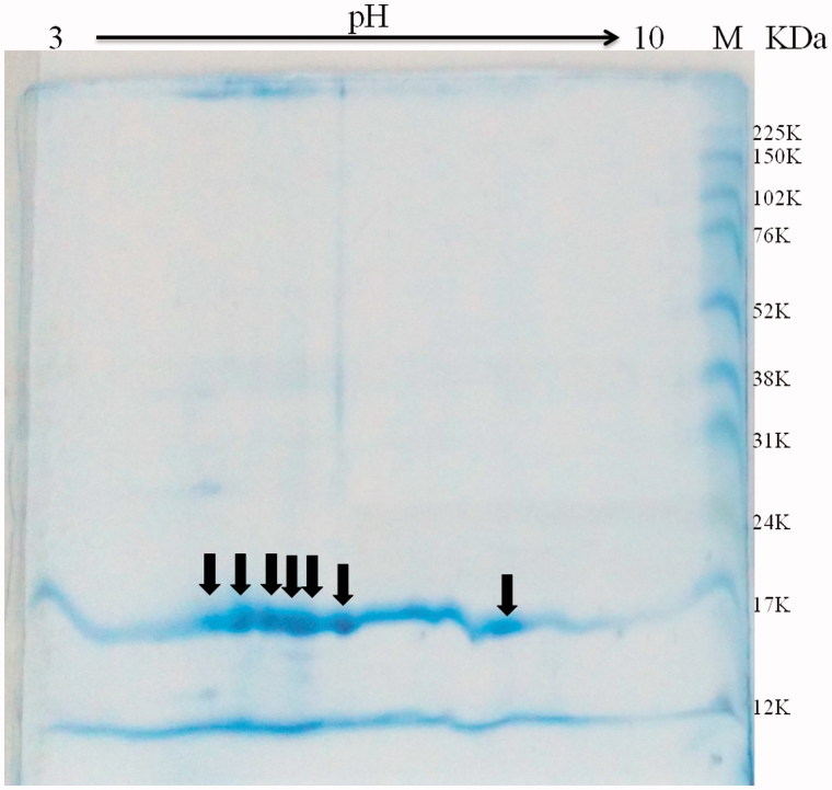 Figure 9.