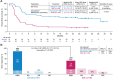 Figure 2. Event-free survival per central review and ORR in patients ≥65 years. A, The Kaplan–Meier estimate of EFS by blinded central review in patients ≥65 years. EFS was defined as the time from randomization to the earliest date of disease progression according to the Lugano classification (17), new lymphoma therapy, death from any cause, or a best response of stable disease up to and including the response on day 150 assessment after randomization, per blinded central review. Tick marks indicate patients who did not meet the criteria for an event and were censored. B, Summary of best response by blinded central review in patients ≥65 years. a In the SOC arm, 1 patient had undefined disease, and 4 did not have response assessments completed. EFS, event-free survival; PD, progressive disease; PR, partial response; SD, stable disease.