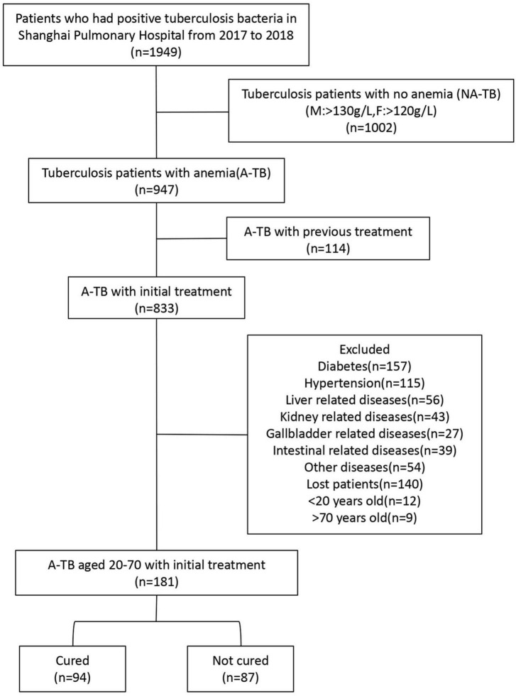 FIGURE 1