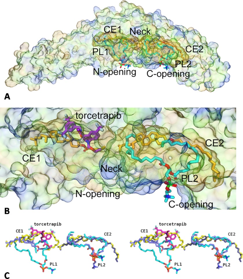 FIGURE 3.