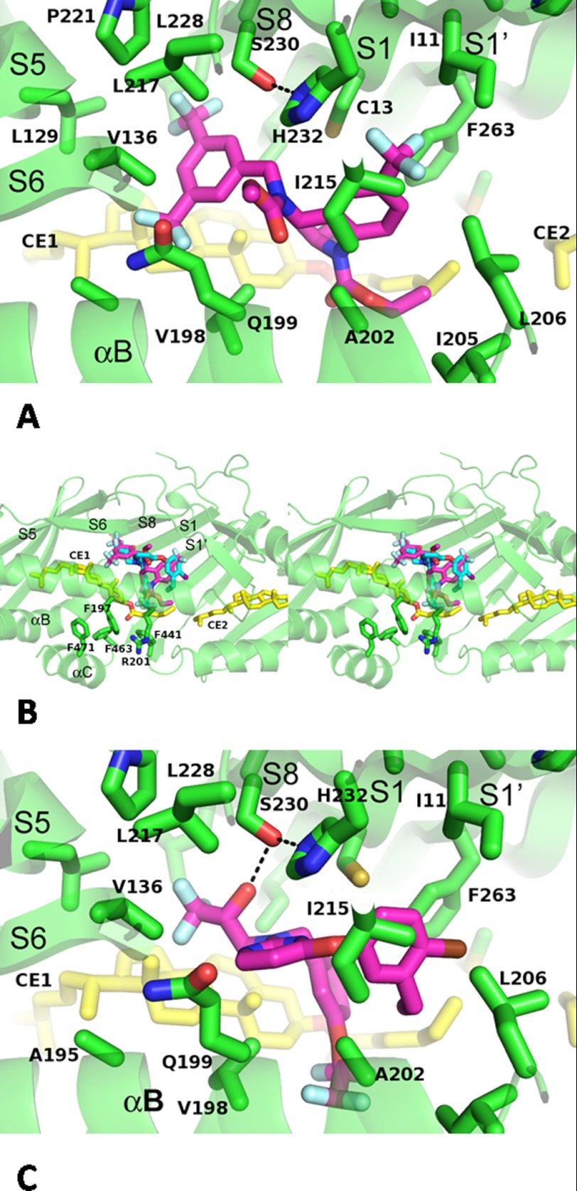 FIGURE 4.