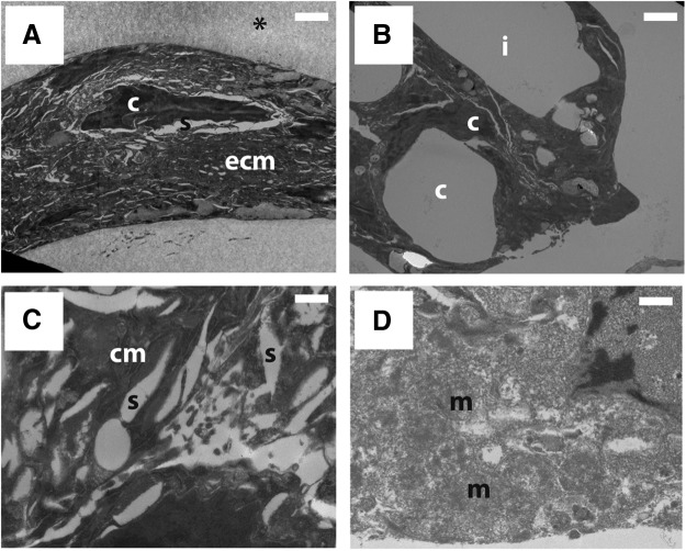 FIG. 5.