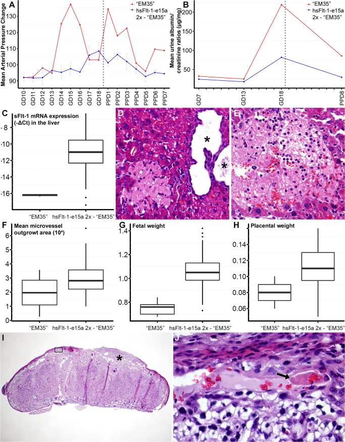 Fig 10