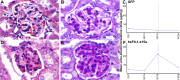 Fig 9