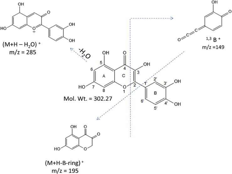 Fig. 6