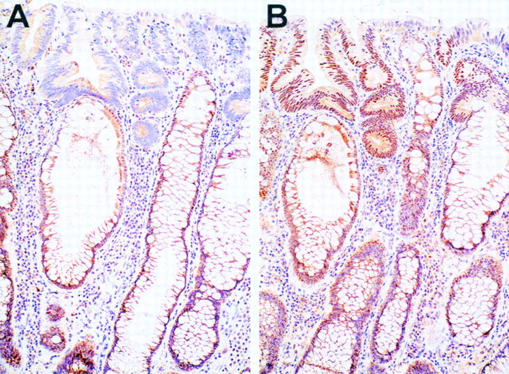 Figure 3  