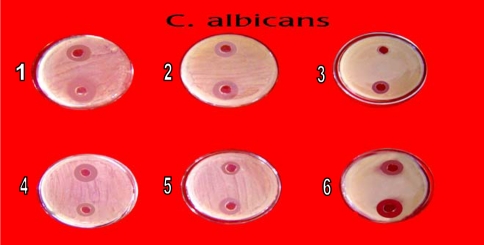 Fig. 2