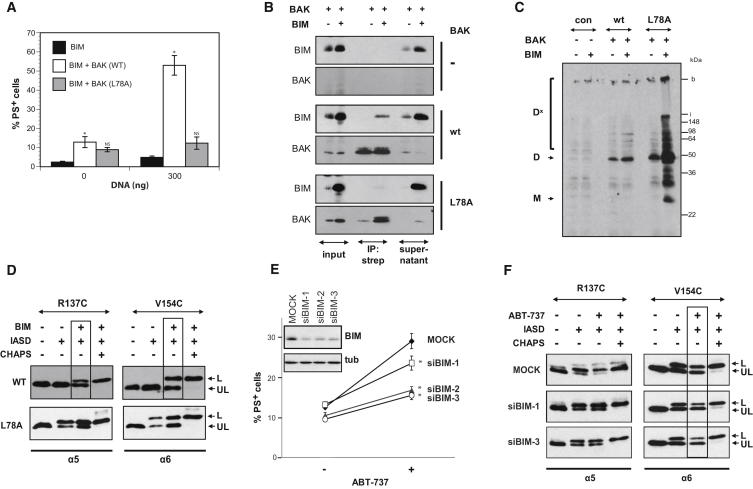 Figure 6