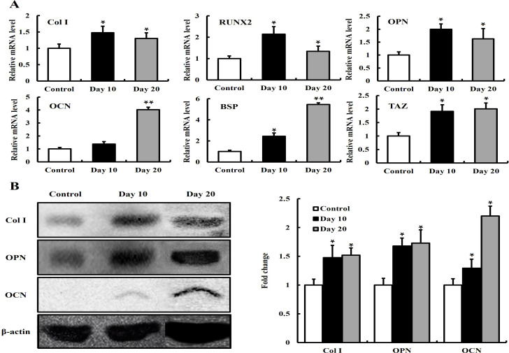 Fig 8