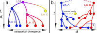 (a)Representation of the molecular clock assumption in which lineages (blue, red and yellow) are generated by accumulation of variation at a constant rate, so (time) is the same dimension as, or is deduced from (dissimilarity between sequences).