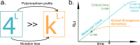 a.Representation of the polymorphic space for gene of length bp, which is far smaller (orange) than it appears at first hand (light blue).