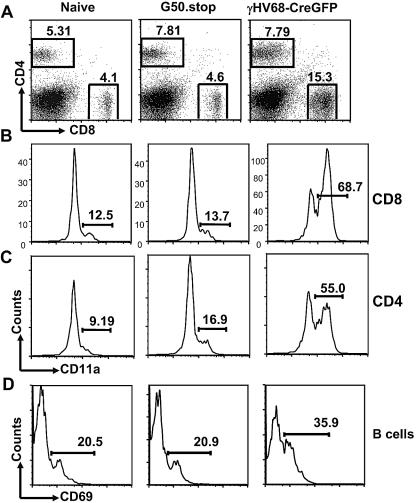 FIG. 3. 