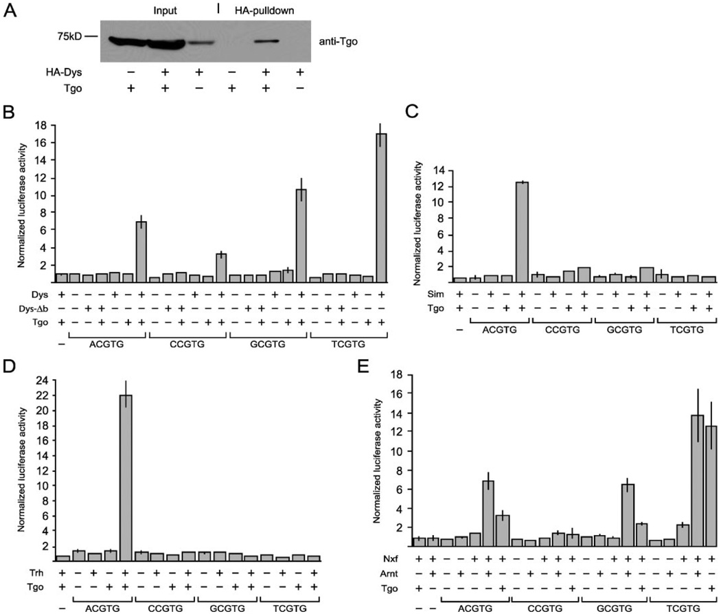 FIGURE 1