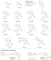 Scheme 2