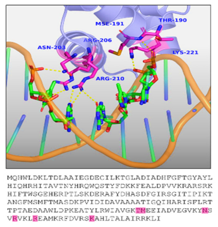 Figure 7