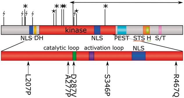 Figure 1.