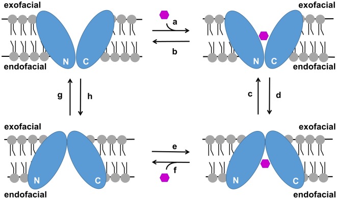 Fig 10