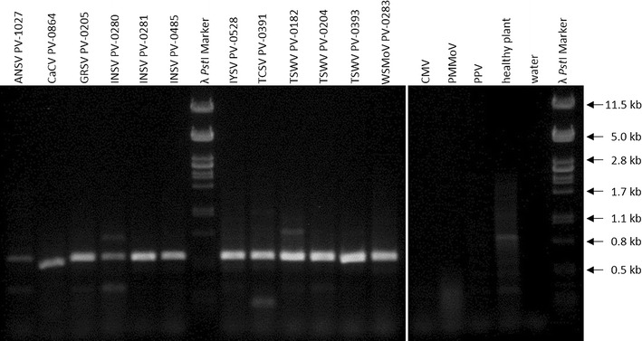 Fig. 2