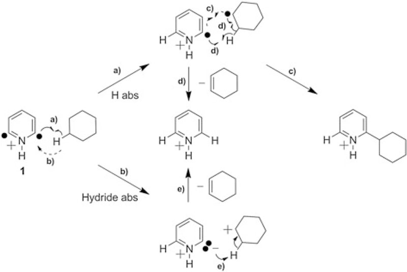 Scheme 4