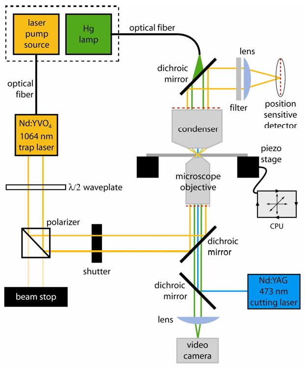 Fig. 1