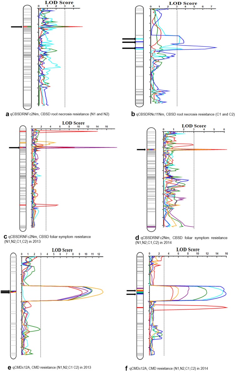 Fig. 2