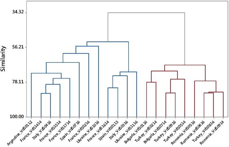 FIGURE 3