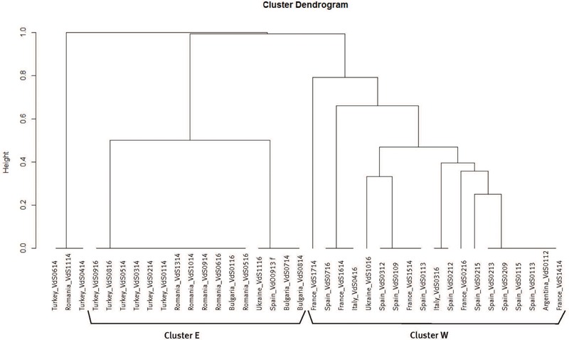 FIGURE 1