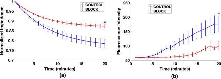 Figure 6