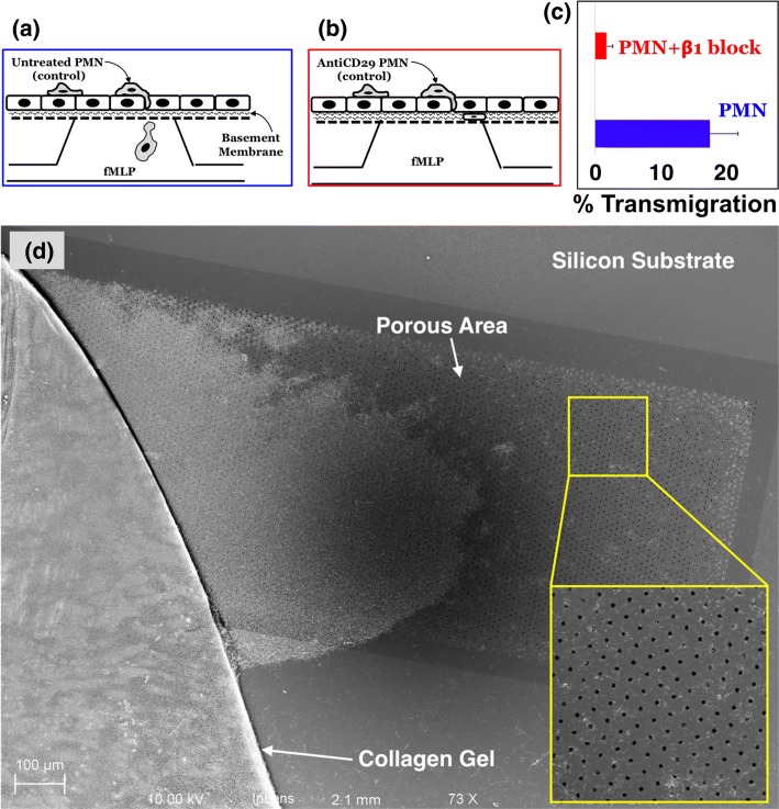 Figure 5