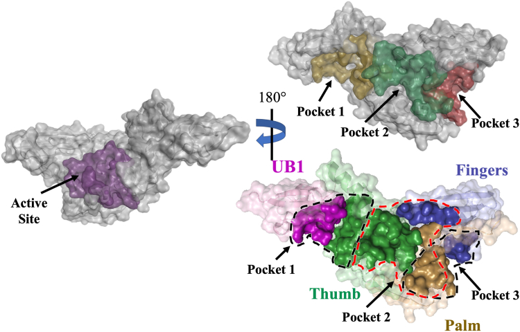 Figure 1