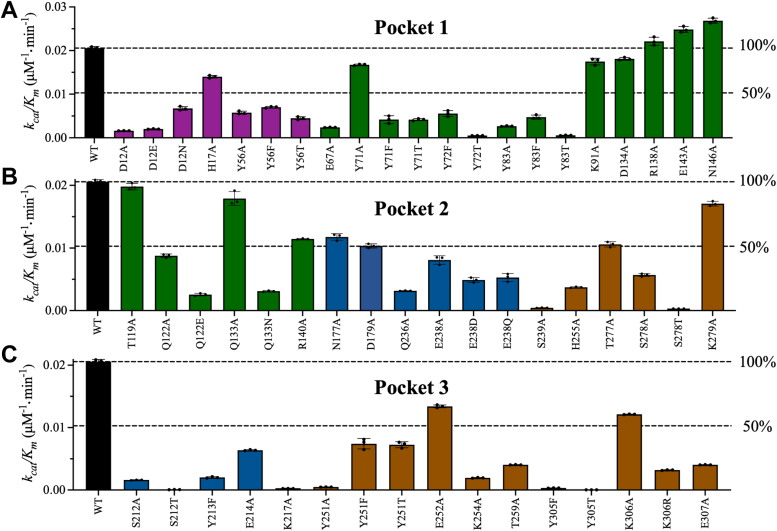 Figure 5