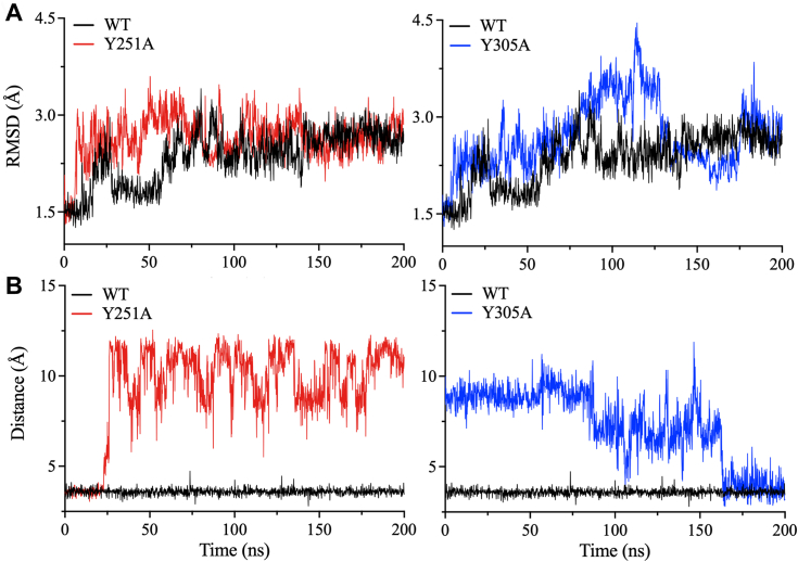 Figure 7