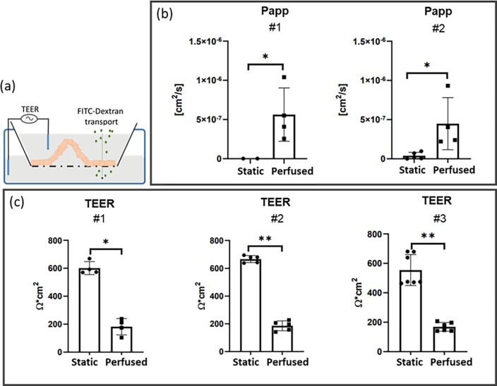 FIG. 6.