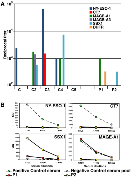 Figure 3