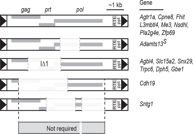 Fig 7